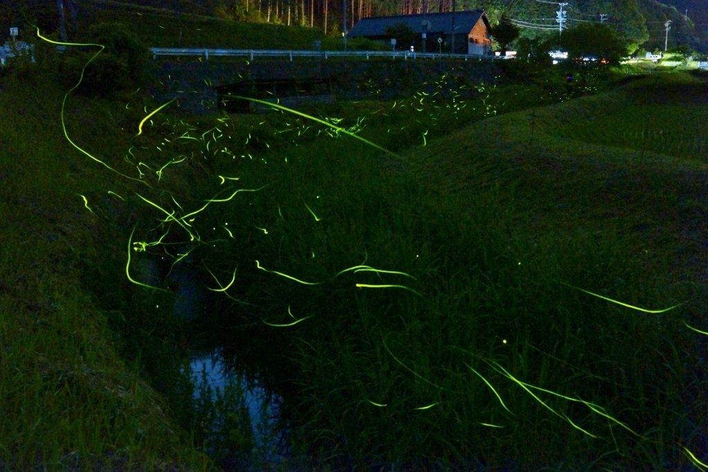 鳥川ほたるの里