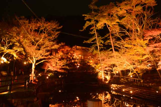 岩屋堂で実際に撮影した写真