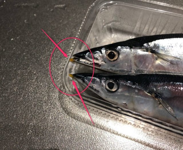 さんまの鮮度の見分け方は「くちばし」の黄色