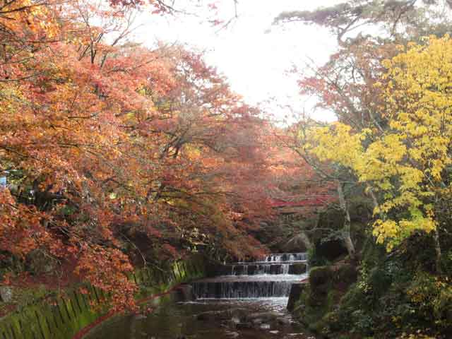 岩屋堂紅葉、日中の写真!-99